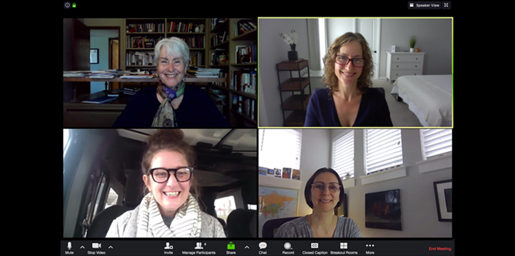 CAIPER Team on Zoom - Virtual Teamness